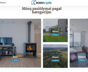 #1 Internetinių Svetainių ir Parduotuvių Kūrimas (seo/ads) / Svetainių kūrimas ir reklama / Darbų pavyzdys ID 3620599
