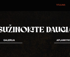 #1 Internetinių Svetainių ir Parduotuvių Kūrimas (seo/ads) / Svetainių kūrimas ir reklama / Darbų pavyzdys ID 3620603