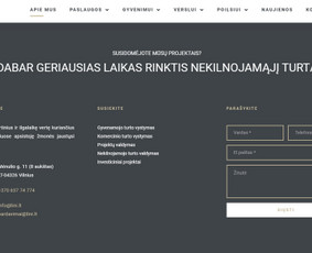 #1 Internetinių Svetainių ir Parduotuvių Kūrimas (seo/ads) / Svetainių kūrimas ir reklama / Darbų pavyzdys ID 3620625