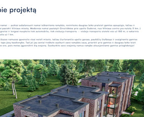 #1 Internetinių Svetainių ir Parduotuvių Kūrimas (seo/ads) / Svetainių kūrimas ir reklama / Darbų pavyzdys ID 3620675