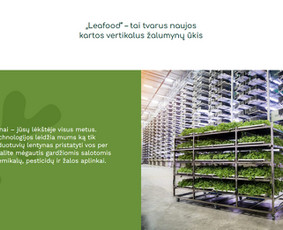 #1 Internetinių Svetainių ir Parduotuvių Kūrimas (seo/ads) / Svetainių kūrimas ir reklama / Darbų pavyzdys ID 3620701