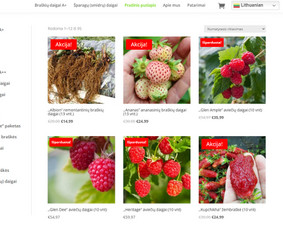 #1 Internetinių Svetainių ir Parduotuvių Kūrimas (seo/ads) / Svetainių kūrimas ir reklama / Darbų pavyzdys ID 3620705