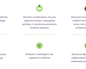 #1 Internetinių Svetainių ir Parduotuvių Kūrimas (seo/ads) / Svetainių kūrimas ir reklama / Darbų pavyzdys ID 3620717