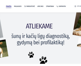 #1 Internetinių Svetainių ir Parduotuvių Kūrimas (seo/ads) / Svetainių kūrimas ir reklama / Darbų pavyzdys ID 3620723
