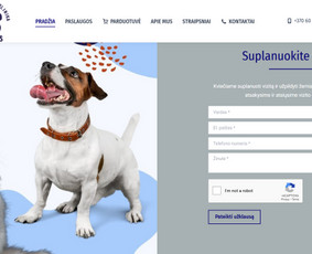 #1 Internetinių Svetainių ir Parduotuvių Kūrimas (seo/ads) / Svetainių kūrimas ir reklama / Darbų pavyzdys ID 3620727