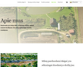 #1 Internetinių Svetainių ir Parduotuvių Kūrimas (seo/ads) / Svetainių kūrimas ir reklama / Darbų pavyzdys ID 3620731
