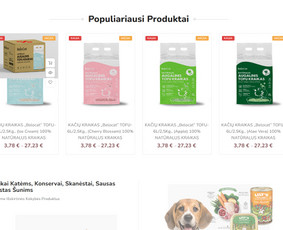 #1 Internetinių Svetainių ir Parduotuvių Kūrimas (seo/ads) / Svetainių kūrimas ir reklama / Darbų pavyzdys ID 3620815