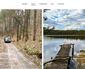 #1 Internetinių Svetainių ir Parduotuvių Kūrimas (seo/ads) / Svetainių kūrimas ir reklama / Darbų pavyzdys ID 3620861
