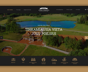 Svetainių dizainas (web design) - Logo, maketavimas, baneriai, web dizainas, prezentacijos - 4