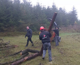 Šakų smulkintuvo nuoma - Įvairios technikos nuoma - 2 Įvairios technikos nuoma - Šakų smulkintuvo nuoma - 2