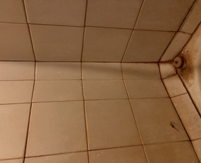 Profesionalus namų valymas, dezinfekcija- ozonu. / Valymo paslaugos / Darbų pavyzdys ID 3622889