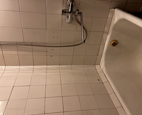 Profesionalus namų valymas, dezinfekcija- ozonu. / Valymo paslaugos / Darbų pavyzdys ID 3622905