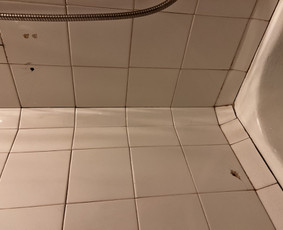 Profesionalus namų valymas, dezinfekcija- ozonu. / Valymo paslaugos / Darbų pavyzdys ID 3622907