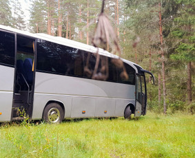 Automobilių nuoma - Autobusų nuoma,keleivių vežimas nuo 8 iki 50 vietų - 4