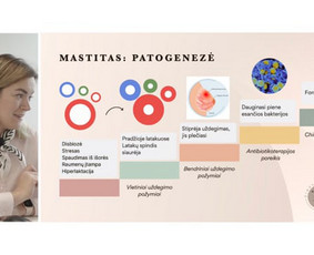 Video sprendimai - Drono paslaugos - Reklamos kūrimas - Tiesioginė transliacija internetu - 1 Tiesioginė transliacija internetu - Video sprendimai - Drono paslaugos - Reklamos kūrimas - 1