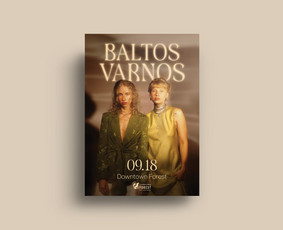 Grafikos dizaino paslaugos - baneriai, maketai, ux/ui - Plakatų maketavimas - 3 Plakatų maketavimas - Grafikos dizaino paslaugos - baneriai, maketai, ux/ui - 3