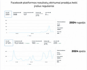 Reklama, kuri ne šiaip patinka – ji parduoda - Socialinių tinklų marketingas (Social media marketing) - 2 Socialinių tinklų marketingas (Social media marketing) - Reklama, kuri ne šiaip patinka – ji parduoda - 2
