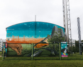 Graffiti, street art, mural art. / Rinalds Vanadzins / Darbų pavyzdys ID 3624051