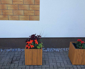 Woodscapebyarturas / Artūras ušinskas / Darbų pavyzdys ID 3624137
