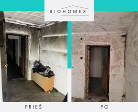 Ekologinis valymas / BioHomEx / Darbų pavyzdys ID 3625095