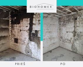 Ekologinis valymas / BioHomEx / Darbų pavyzdys ID 3625115
