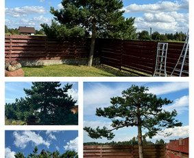 Sodininko paslaugos / facebook.com/sodininkopaslaugosklaipeda / Darbų pavyzdys ID 3625331