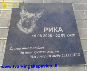 Portretas, užrašas