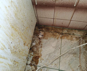 Generalinis patalpų valymas - Valymo paslaugos - 2