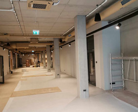 Statybos darbai - Sienu &Scaron;pakliavimas-dažymas - 3