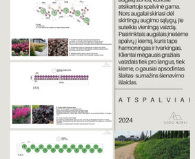 Apželdinimo projektai, augalų planai- privačiam sklypui / SODO NORAI / Darbų pavyzdys ID 3627871