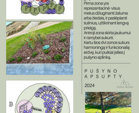 Apželdinimo projektai, augalų planai- privačiam sklypui / SODO NORAI / Darbų pavyzdys ID 3627881