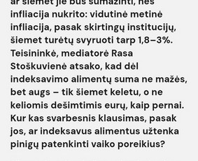 Profesionalios teisinės paslaugos / Rasa Stoškuvienė / Darbų pavyzdys ID 3629715