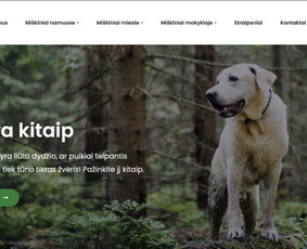 Internetinių Svetainių, E-shop Kūrimas / Seo / Konsultavimas - Programavimas su WordPress - 2 Programavimas su WordPress - Internetinių Svetainių, E-shop Kūrimas / Seo / Konsultavimas - 2