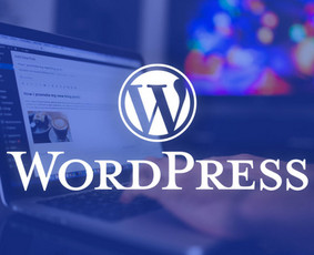 Internetinių Svetainių, E-shop Kūrimas / Seo / Konsultavimas - Programavimas su WordPress - 1 Programavimas su WordPress - Internetinių Svetainių, E-shop Kūrimas / Seo / Konsultavimas - 1