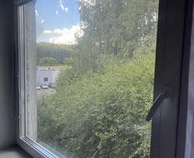 Langų valymas,cheminis baldų valymas / Valymas / Darbų pavyzdys ID 3630077