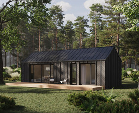 3D interjero, eksterjero vizualizacijos, 3D planai / Kornelijus Daukantas / Darbų pavyzdys ID 3630749