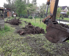 Visi griovimo-kasimo,išvežimo darbai / Tomas / Darbų pavyzdys ID 3631599