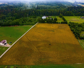 Nb Filmai / Nb Filmai / Darbų pavyzdys ID 731139
