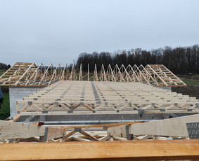 Stogdengiai. Stogo dengimas / Uab Algio stogai / Darbų pavyzdys ID 3632701
