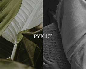 Svetainių talpinimas (Hosting) - Internetinių Svetainių Kūrimas - 1