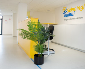 Sėkmingi vaikai - Ergoterapeutai - 1 Ergoterapeutai - Sėkmingi vaikai - 1