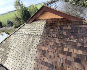 Stogų valymas ir priežiūra - Stogo dazymas,fasado plovimas,trinkelių plovimas - 3