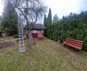 Gerbūvio ir arborizmo paslaugos / Laurynas / Darbų pavyzdys ID 3637527