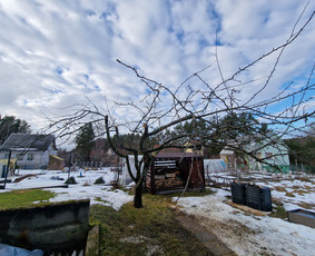Gerbūvio ir arborizmo paslaugos / Laurynas / Darbų pavyzdys ID 3637539