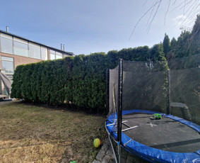 Gerbūvio ir arborizmo paslaugos / Laurynas / Darbų pavyzdys ID 3637549