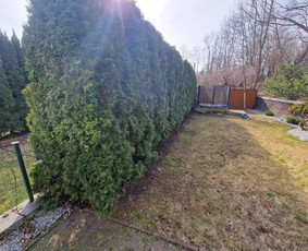Gerbūvio ir arborizmo paslaugos / Laurynas / Darbų pavyzdys ID 3637553
