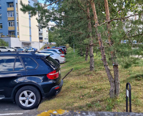 Gerbūvio ir arborizmo paslaugos / Laurynas / Darbų pavyzdys ID 3637551