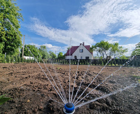 Gerbūvio ir arborizmo paslaugos / Laurynas / Darbų pavyzdys ID 3637559