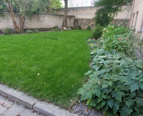 Vejos įrengimas: sėjimas, ruloninė veja - Gerbūvio ir arborizmo paslaugos - 4