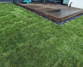 Vejos įrengimas: sėjimas, ruloninė veja - Gerbūvio ir arborizmo paslaugos - 2